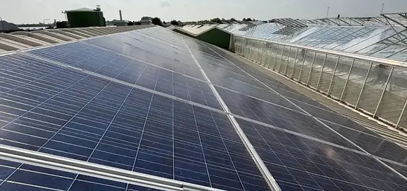 Zonnepanelen inspectie Westland