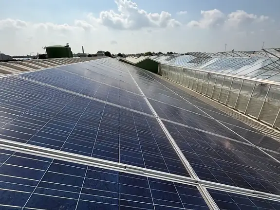 Zonnepanelen keuring Westland